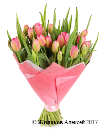 ����� 51 ����������� �������