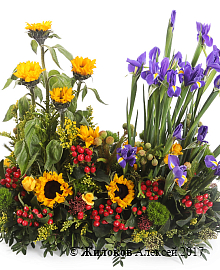 ����� �������� �����