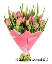 ����� 51 ����������� �������