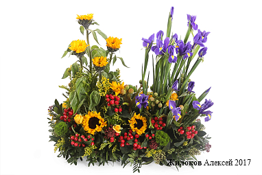 ����� �������� �����