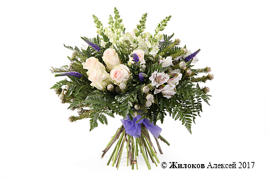 ����� �������� ��������