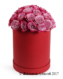 ����� ������� � ������� �������