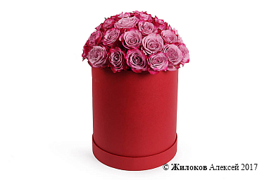 ����� ������� � ������� �������