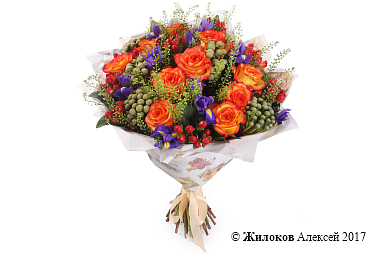 ����� �������� ������