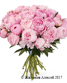 ����� �� ������ 31 ����������