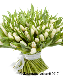 ����� 151 �������, �����