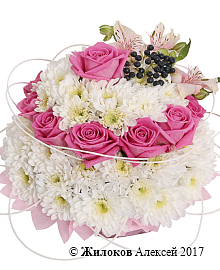 ����� ����������� ������