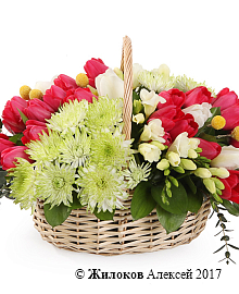 ����� ��� � ������ ���� � �������