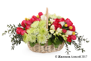 ����� ��� � ������ ���� � �������