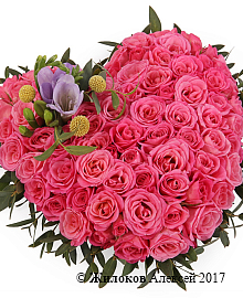 ����� ������� ������