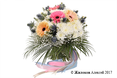 ����� ������� � �������