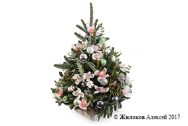 ���������� ������� ���� � �����