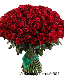 ����� 101 ���� �����