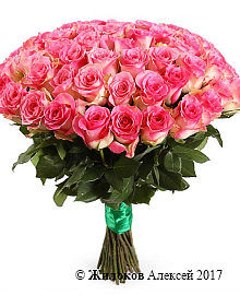 ����� 51 ���� ������