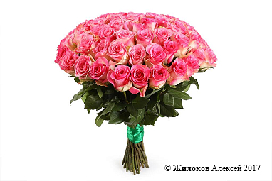 ����� 51 ���� ������