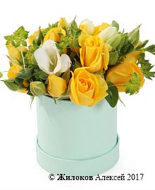 ����� � ����� ������ � ������� �������