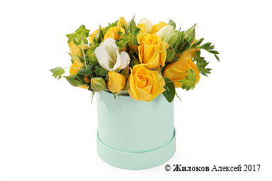 ����� � ����� ������ � ������� �������