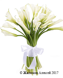 ����� ����� ����