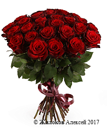 ����� �� 25 ������� ��� ��� �����