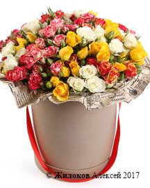 ����� ���� ���������� � ������� �������