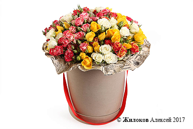 ����� ���� ���������� � ������� �������