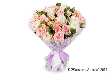 ����� ���� ������