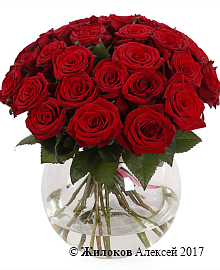 ����� � ����� �����