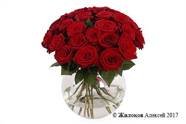 ����� � ����� �����