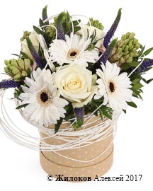 ����� ����� ������ � ������� �������