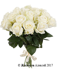 ����� 17 ��� ������� 60/70 ��