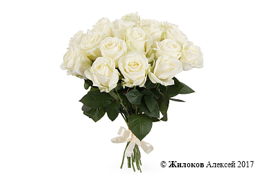 ����� 17 ��� ������� 60/70 ��