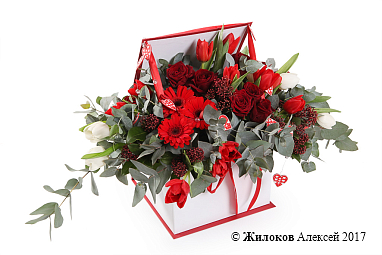 ����� ���� ������� � ������� �������