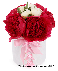 ����� �� ������ ������� � ����� ������� �������