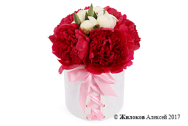 ����� �� ������ ������� � ����� ������� �������