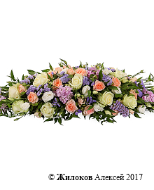 ���������� �����