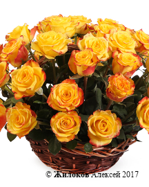 ����� 51 ���� ��� ����� � �������