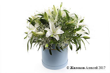 ����� � ������� �������� � ������� �������