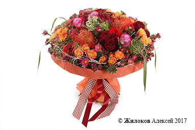 ����� ������� �����������