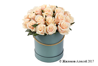 ����� 25 ��� ����� � ������� �������