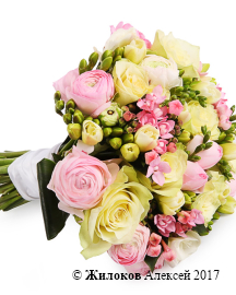 ����� ������� �����