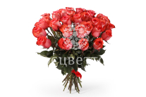 ����� 35 ��� ������, ����������