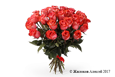 ����� 35 ��� ������, ����������