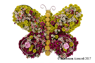 ���������� ������� ������