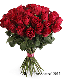 ����� 35 ��� �����