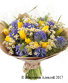 ����� ������� ���