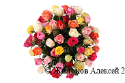 Букет Фламандская легенда (51 роза)