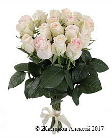 ����� 19 ��� ���������