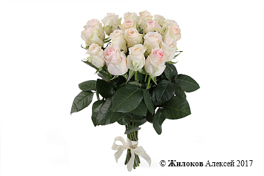 ����� 19 ��� ���������