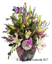 ���������� � ������� ����� ������� � �����