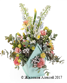 ���������� ����� �����